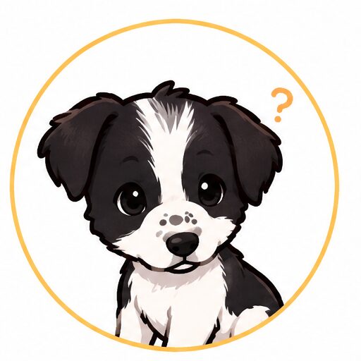 ??????????